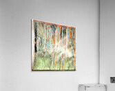 4174 8K Acrylic Print