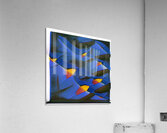 4185 8K Acrylic Print