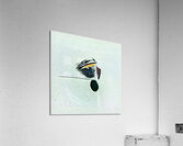 4187 8K Acrylic Print