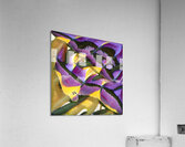 4161 8K Acrylic Print