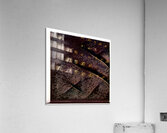 4193 8K Acrylic Print