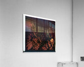 4170 8K Acrylic Print