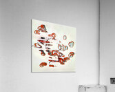 4169 8K Acrylic Print