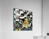 4192 8K Acrylic Print