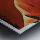 3323 8K Impression metal