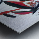 3801 8K Impression metal