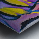 4061 8K Impression metal