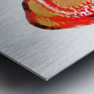 4057 8K Impression metal