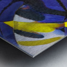 4142 8K Impression metal