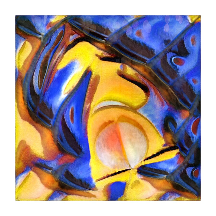 18 8K Picture Frame print