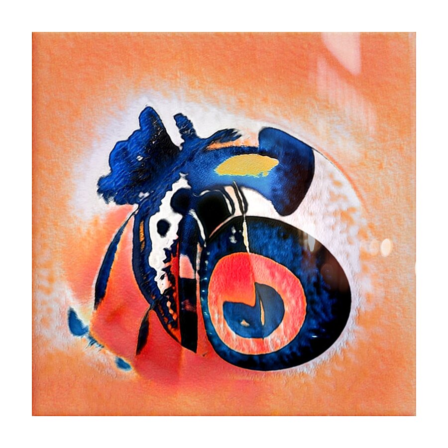 39 8K Picture Frame print