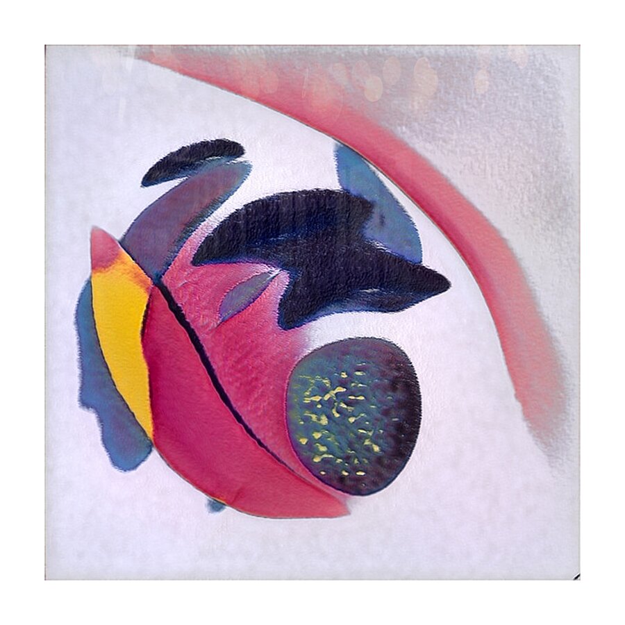 29 8K Picture Frame print