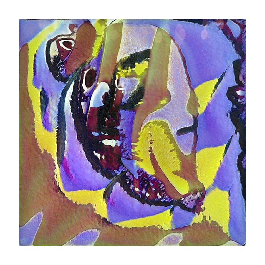 95 8K Picture Frame print