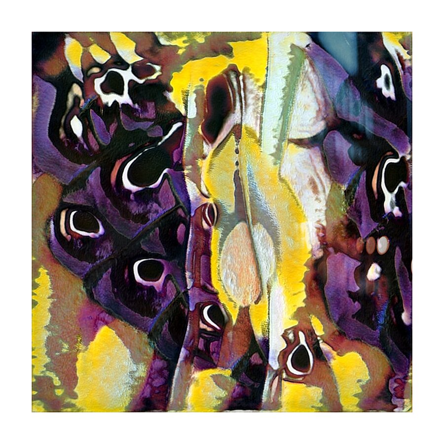 78 8K Picture Frame print