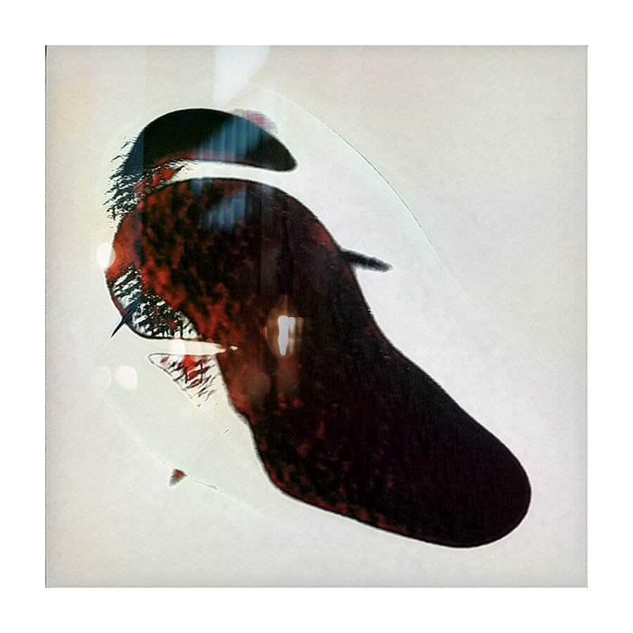 123 8K Picture Frame print