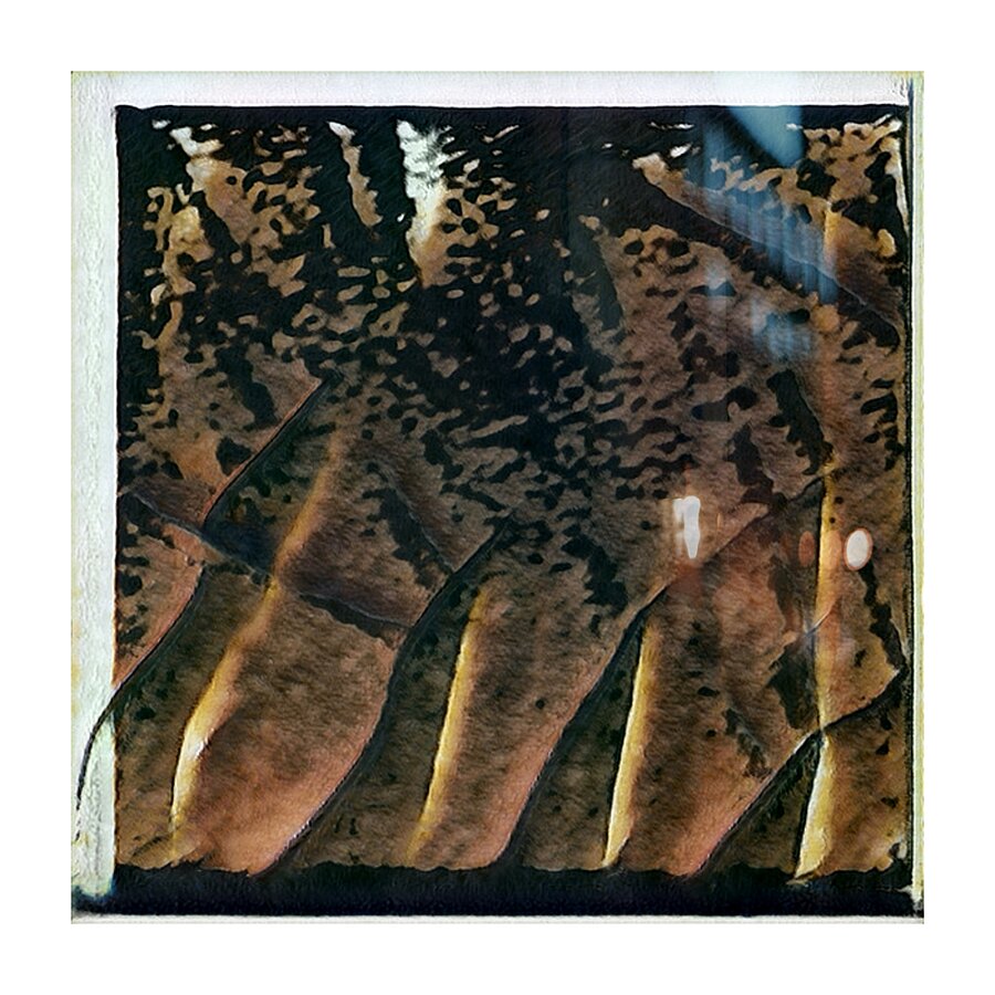 145 8K Picture Frame print