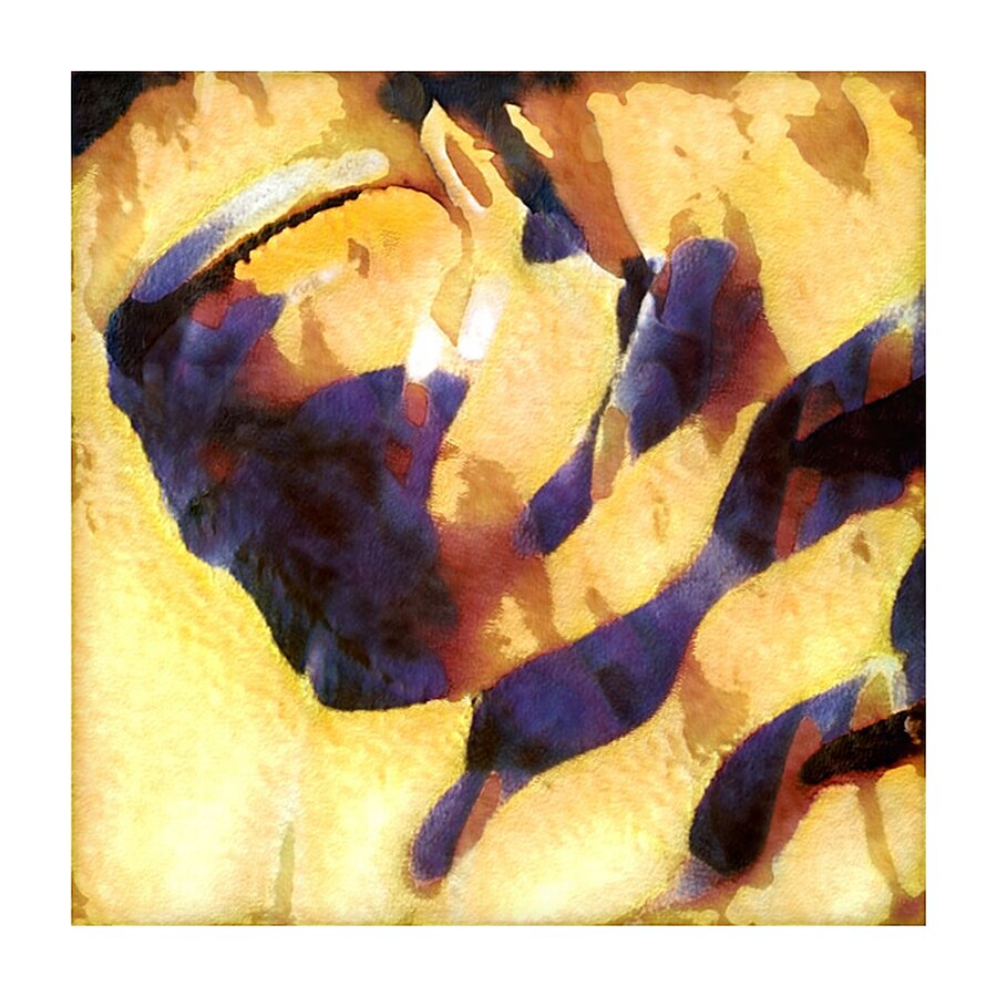 187 8K Picture Frame print