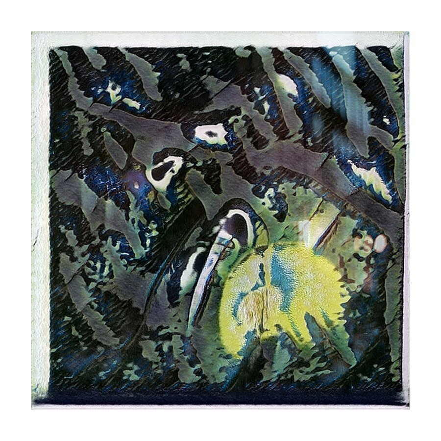 254 8K Picture Frame print