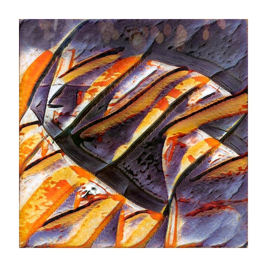 298 8K Picture Frame print