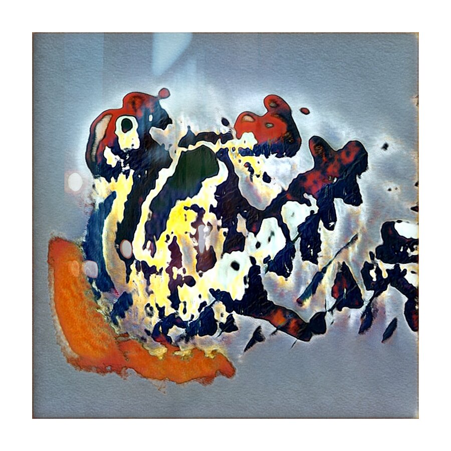 273 8K Picture Frame print