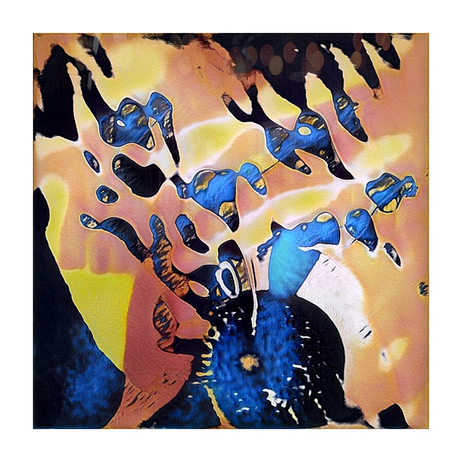 309 8K Picture Frame print