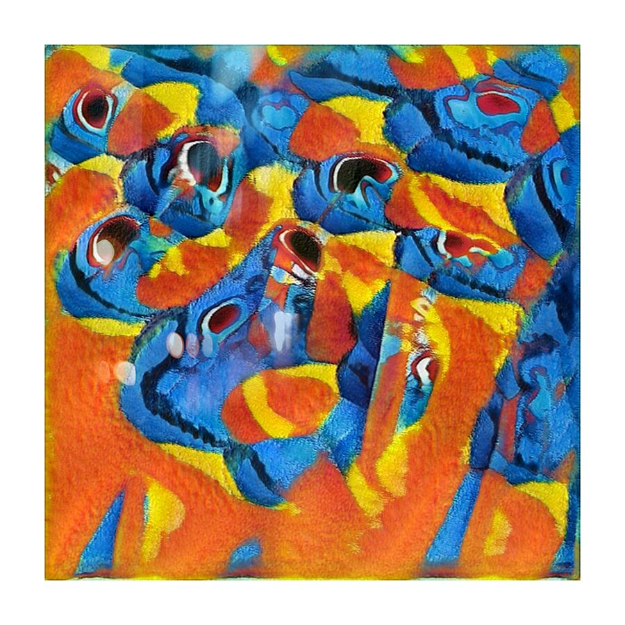 349 8K Picture Frame print