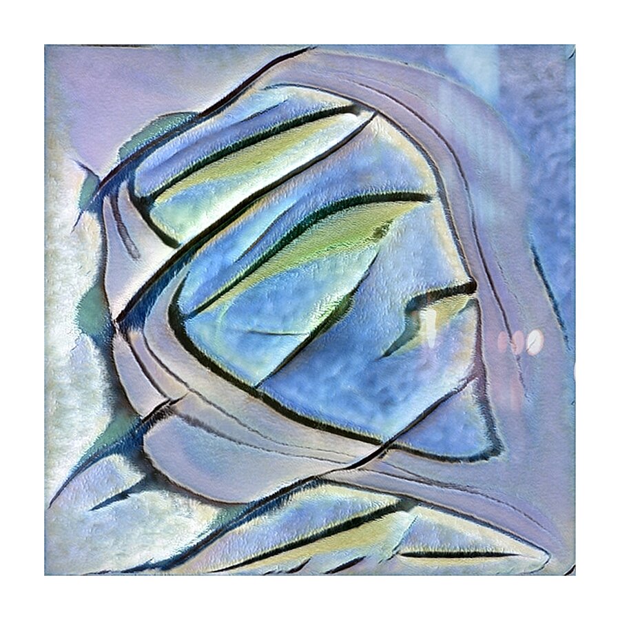 344 8K Picture Frame print