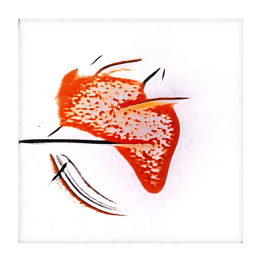 390 8K Picture Frame print