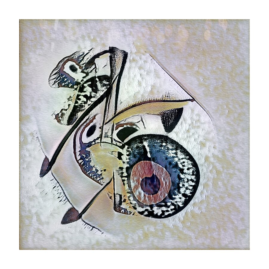 366 8K Picture Frame print