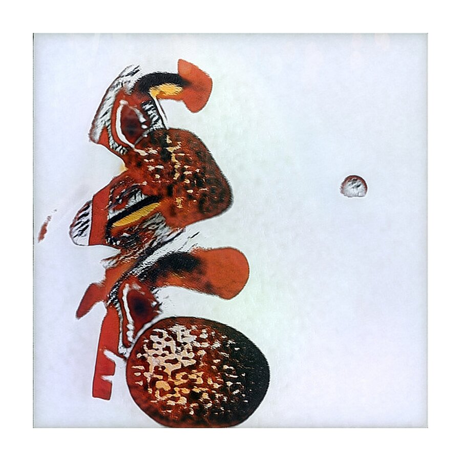 386 8K Picture Frame print