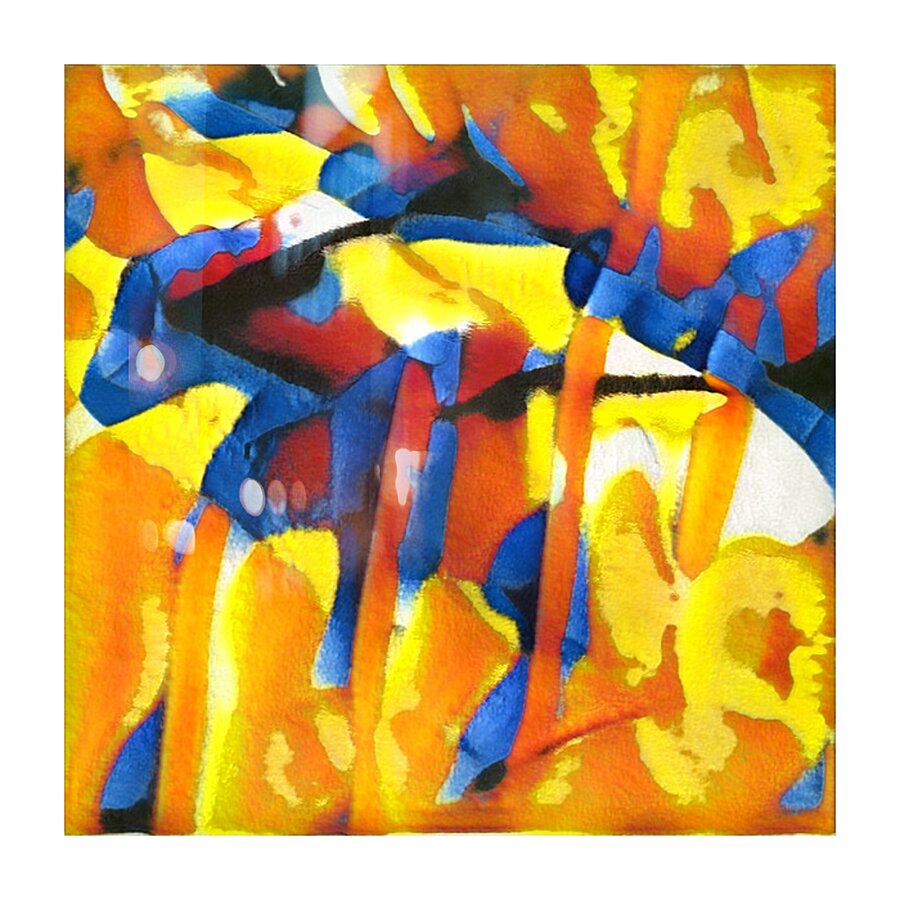 446 8K Picture Frame print