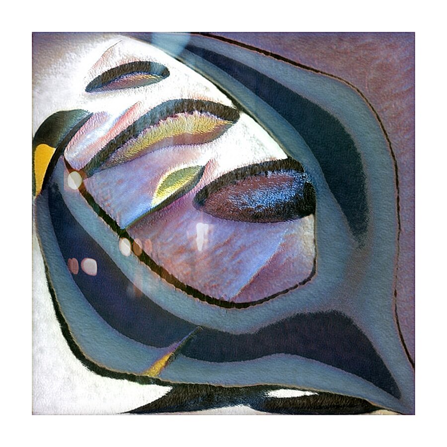 437 8K Picture Frame print