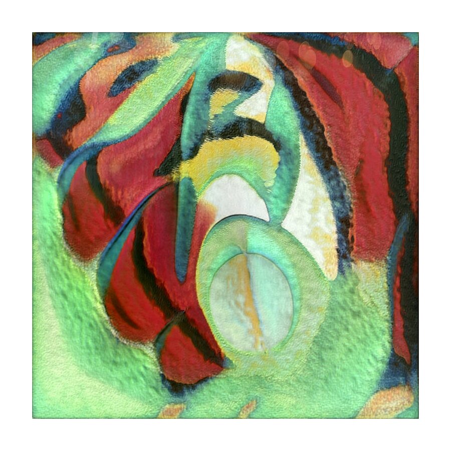 498 8K Picture Frame print