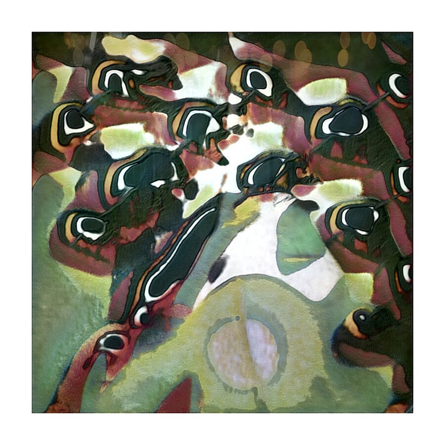 475 8K Picture Frame print