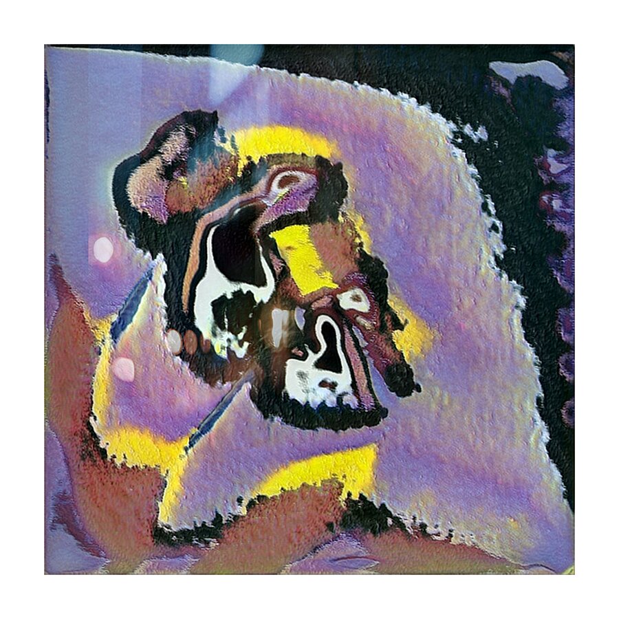 452 8K Picture Frame print