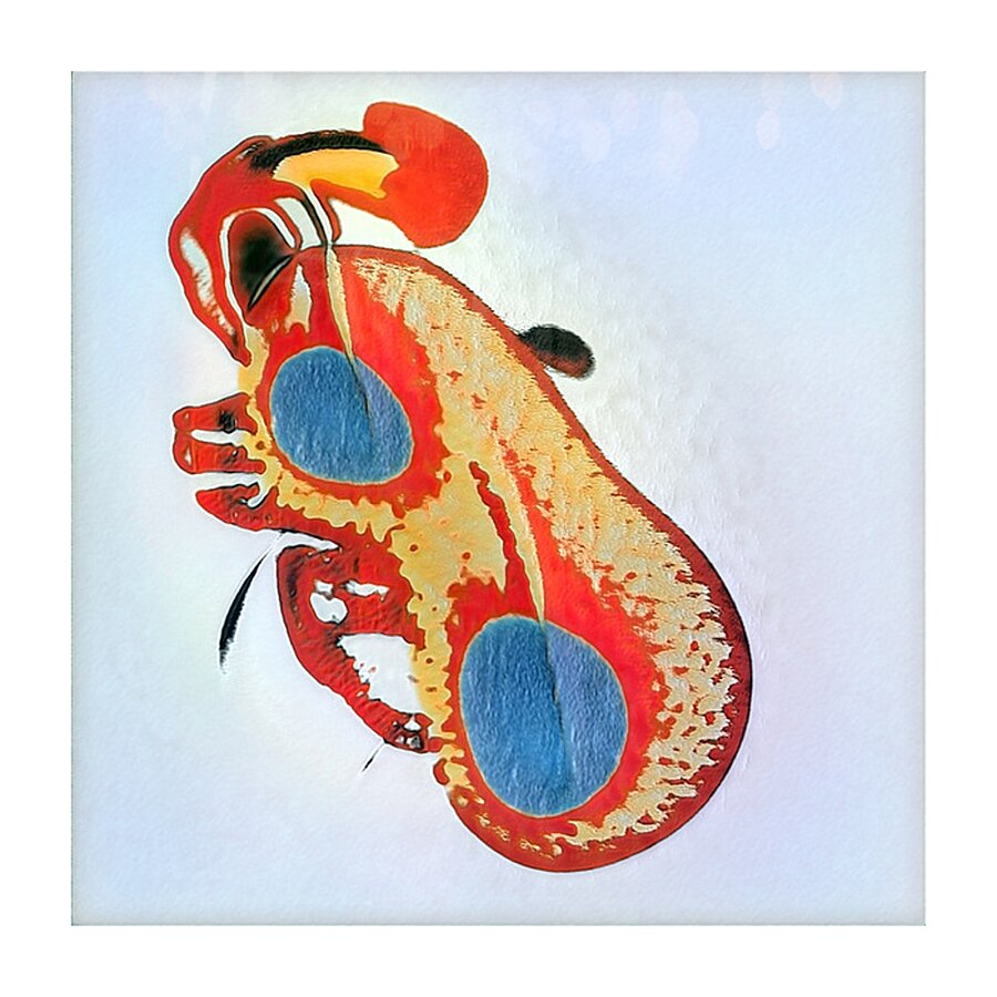 516 8K Picture Frame print