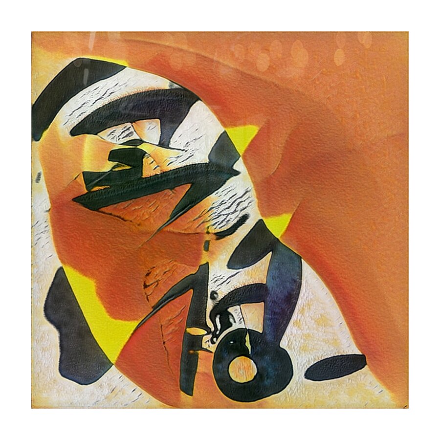 508 8K Picture Frame print