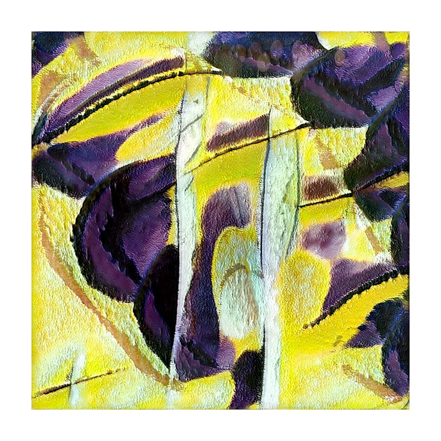 510 8K Picture Frame print