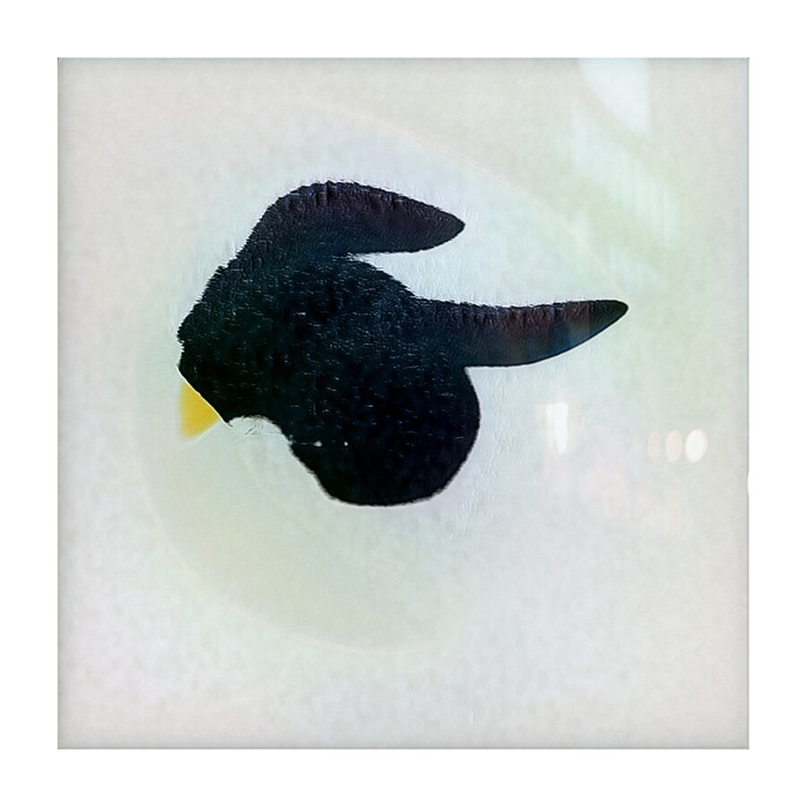 527 8K Picture Frame print