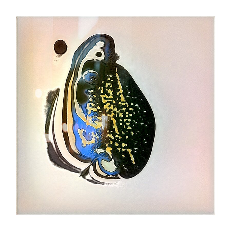 531 8K Picture Frame print