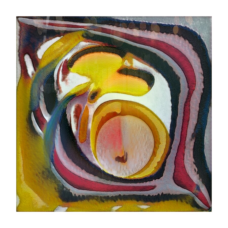 529 8K Picture Frame print