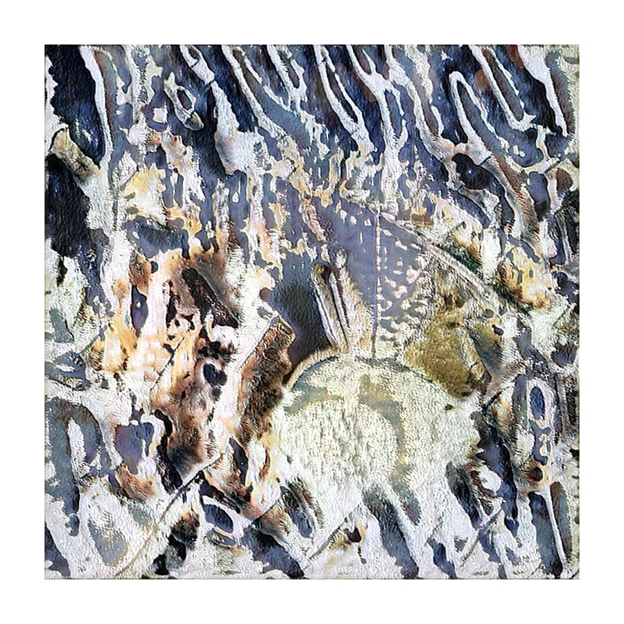 578 8K Picture Frame print