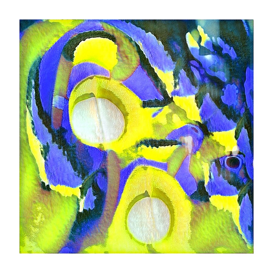 556 8K Picture Frame print