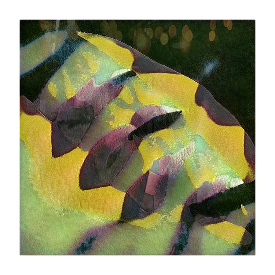 603 8K Picture Frame print