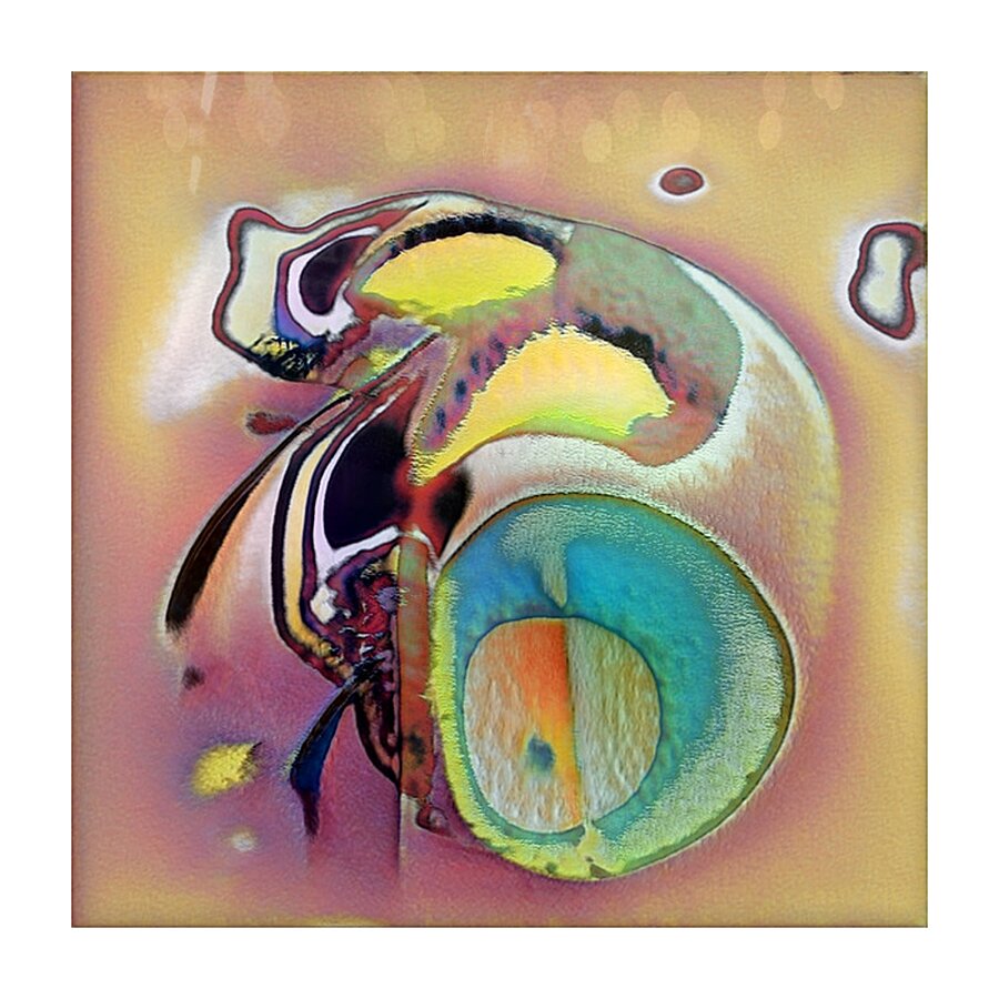 611 8K Picture Frame print