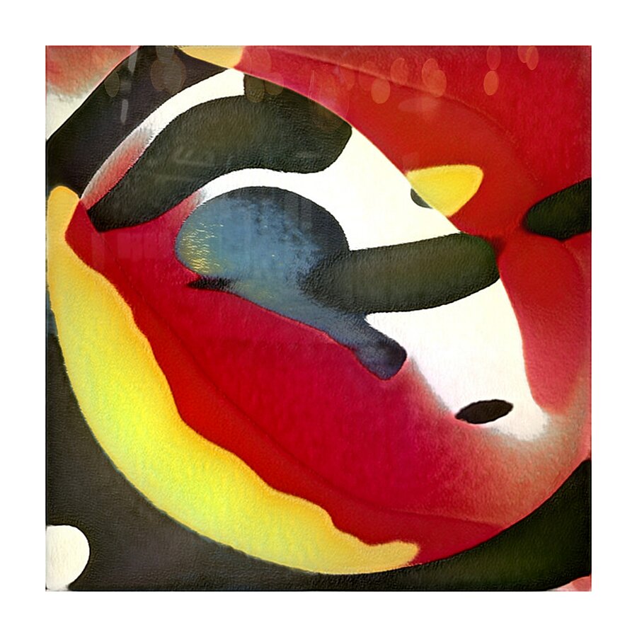 646 8K Impression et Cadre photo