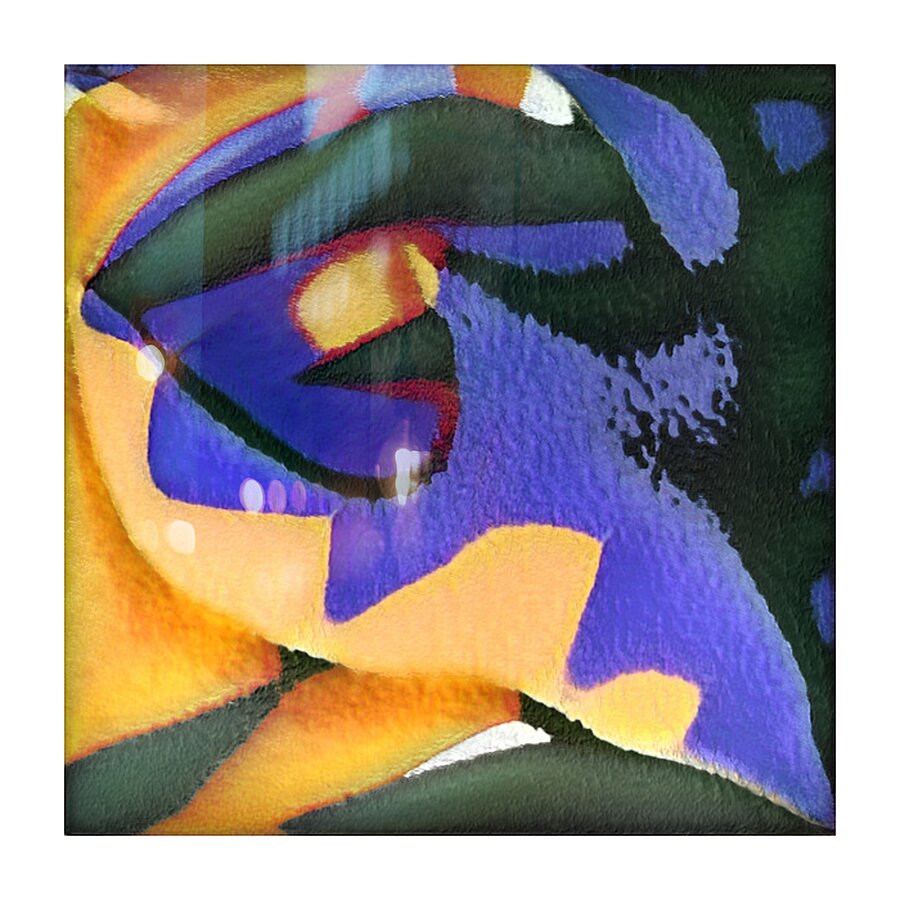 653 8K Picture Frame print