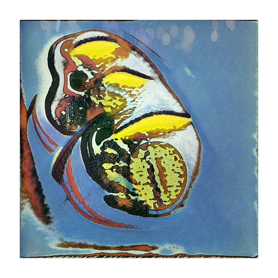 656 8K Picture Frame print