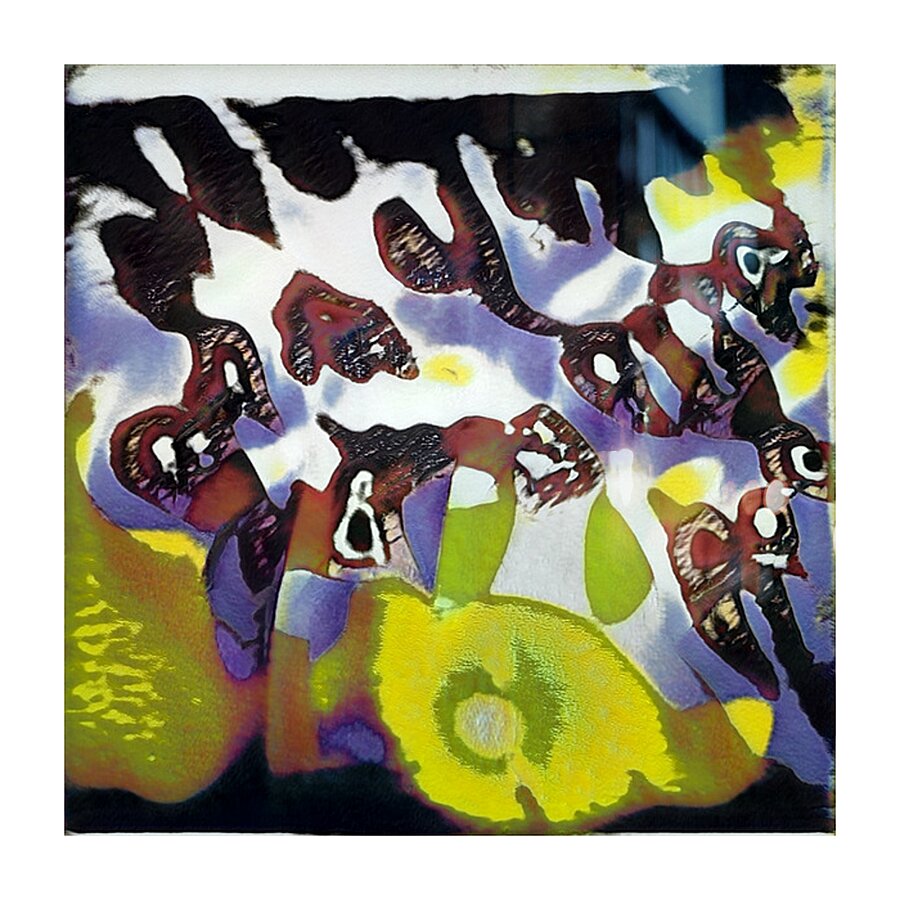 691 8K Picture Frame print