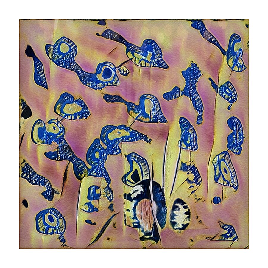 687 8K Picture Frame print